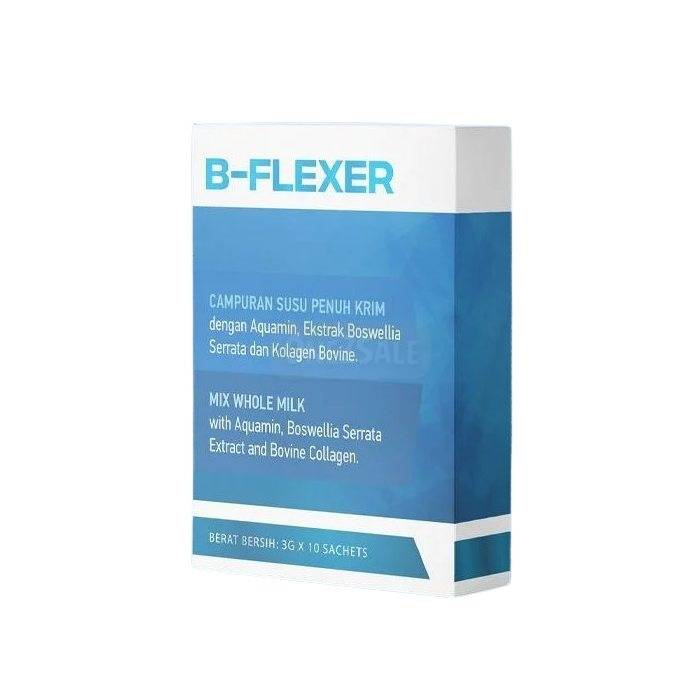 B-Flexer ▶ di Johor Bahru