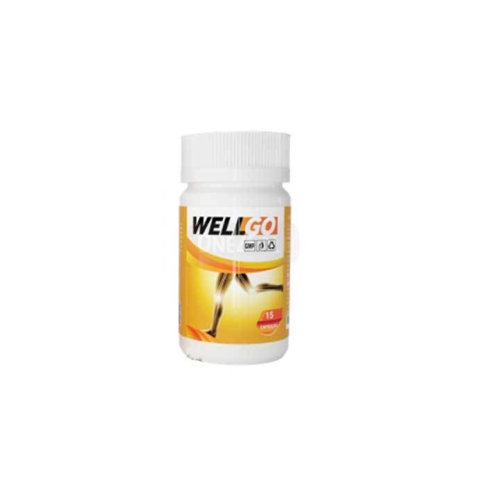 Wellgo ▶ đến Pleiku