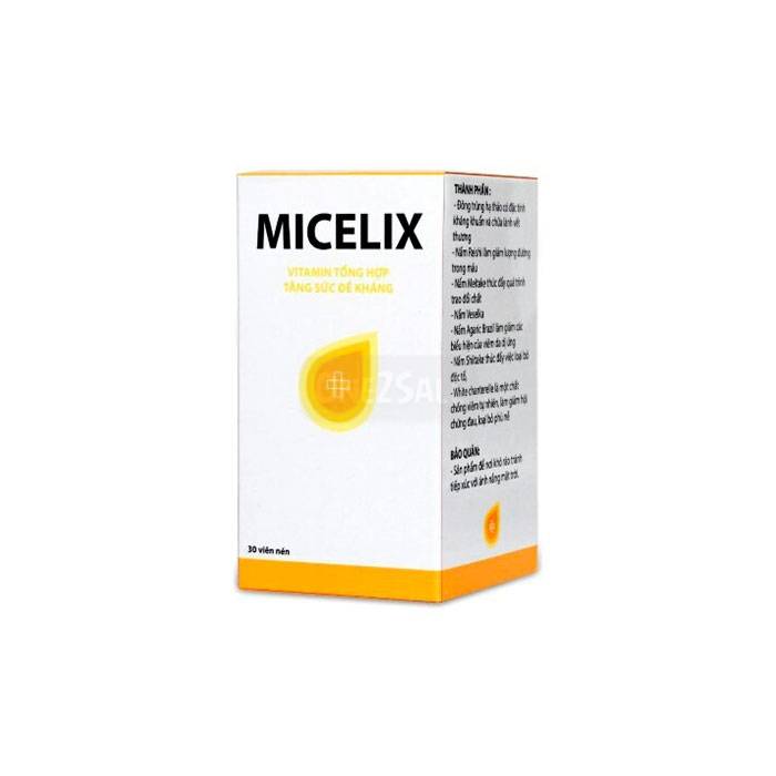 Micelix ▶ வாரணாசியில்