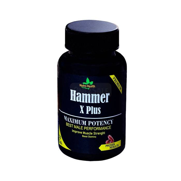 Hammer X Plus ▶ ভারতে